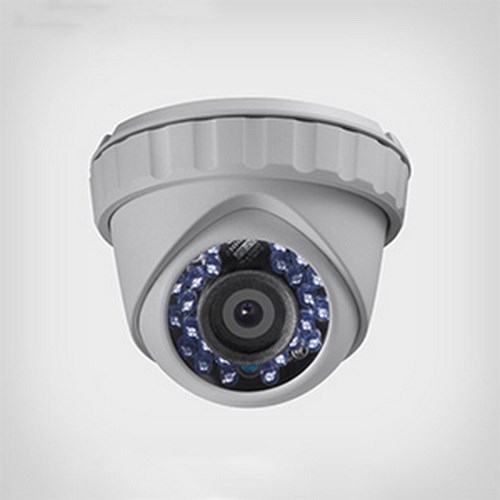 دوربین های امنیتی و نظارتی   دام Vertina  VHC-5260178305
